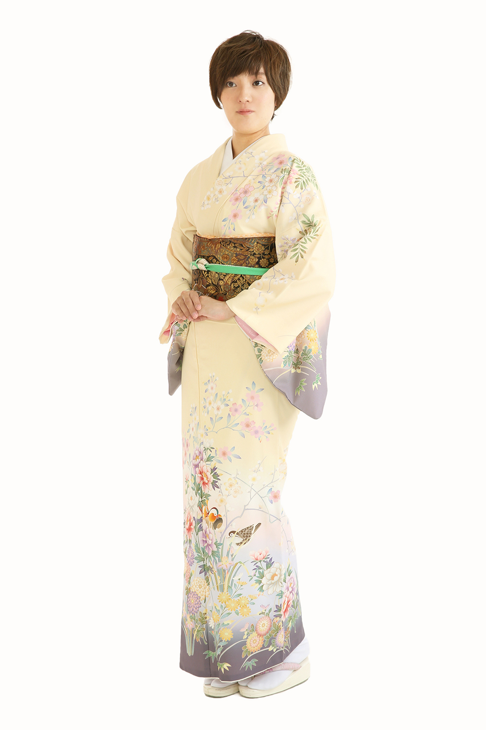 レンタル訪問着1 いせや写真スタジオ 江戸川区の写真スタジオ レンタル訪問着1 いせや写真スタジオ 江戸川区の写真スタジオ